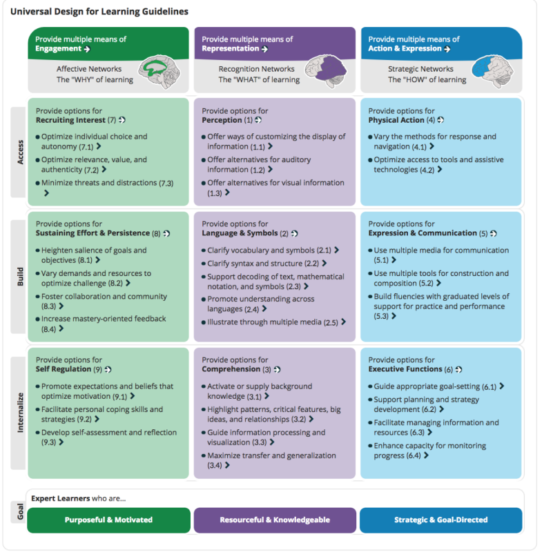 UDL Guidelines